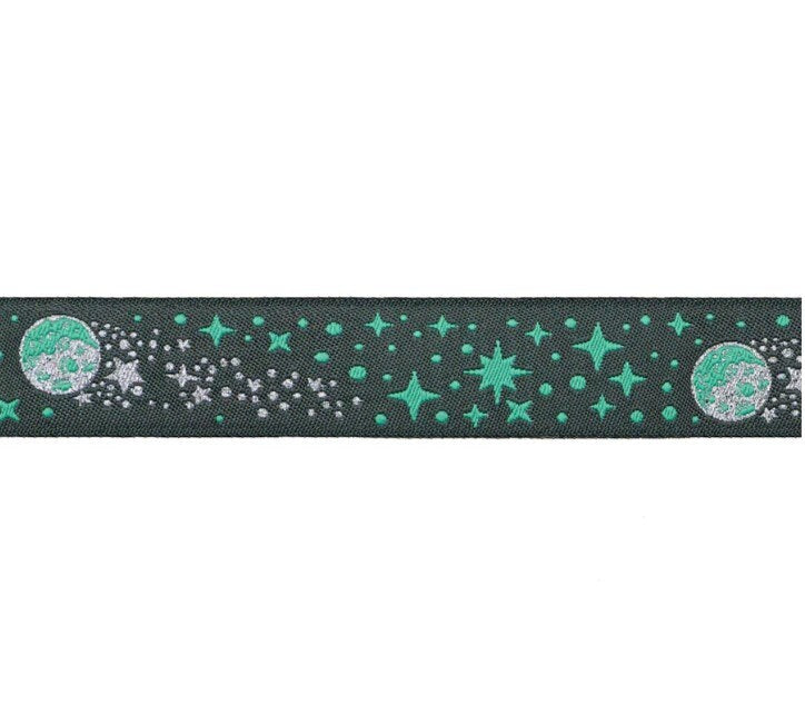 Meteor Shower in Storm - 7/8" width - Tula Pink Roar! - Priced by the Yard/Cut Continuous - Renaissance Ribbons -