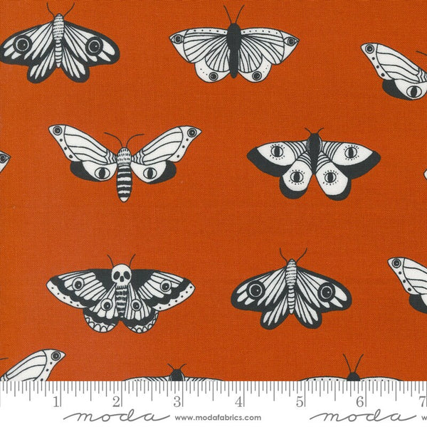 Mystic Moth in Pumpkin - Priced by the Half Yard/Cut Continuous - Alli K Designs for Moda Fabrics - 11543 14