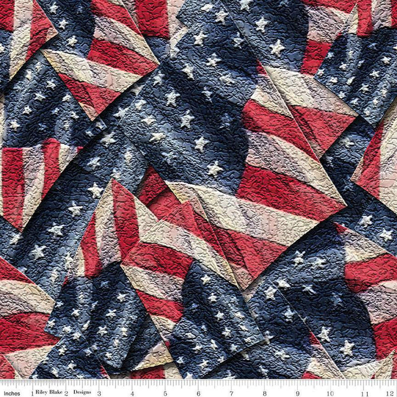 Coming Home Flags 108" - Priced by the Half Yard/Cut Continuous - Vicki Gifford for Riley Blake Designs - WB14434-MULTI