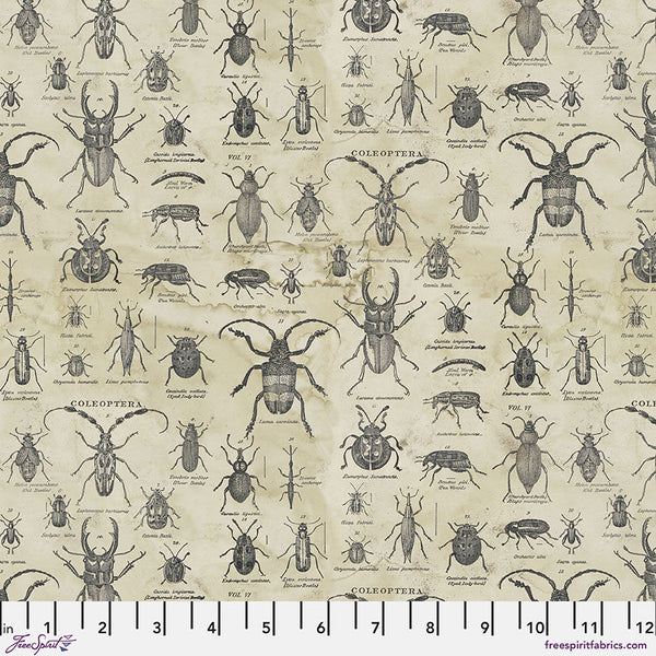 Specimen - Priced by the 1/2 Yard/Cut Continuous - Laboratory by Tim Holtz for FreeSpirit Fabrics - PWTH184.NEUTRAL