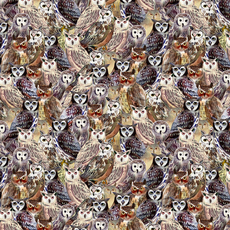 Packed Owls Wild Wonder - Priced by the Half Yard/Cut Continuous - Sue Zipkin - Y4074-55