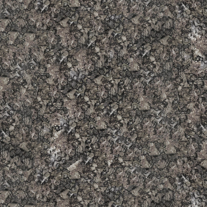 Agate Wild Wonder - Priced by the Half Yard/Cut Continuous - Sue Zipkin - Y4084-120 Dark Pewter