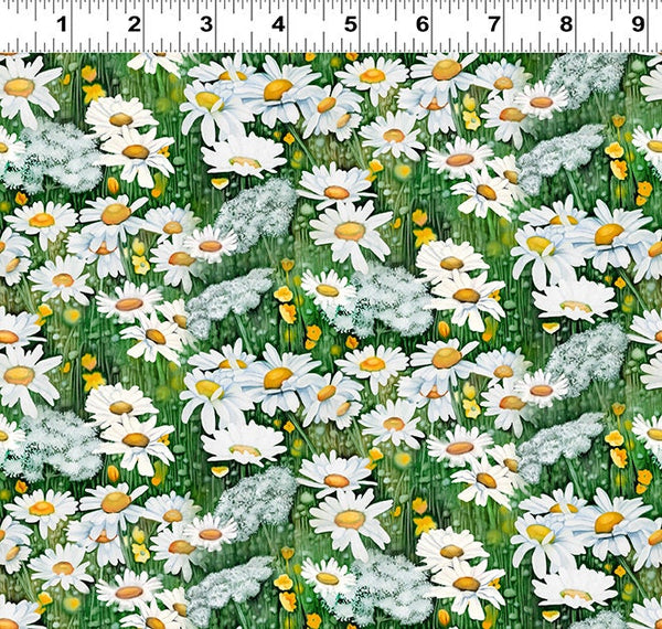 Woodland Daisies - Priced by the Half Yard/Cut Continuous - Dappled - Clothworks Fabrics - Y4134-1