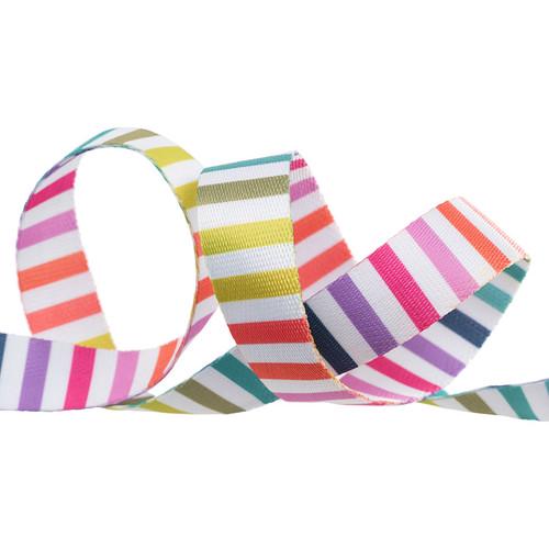 Rainbow Stripe - 5/8" width - Tula Pink Tabby Road - Priced by the Yard/Cut Continuous - Renaissance Ribbons - TK-113/16mm Col 1