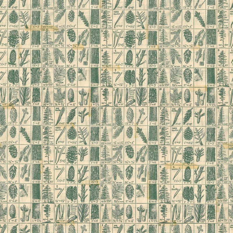 Pine Chart - Priced by the 1/2 Yard/Cut Continuous - Holiday's Past by Tim Holtz for FreeSpirit Fabrics - PWTH204.GREEN