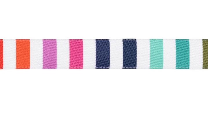 Rainbow Stripe - 5/8" width - Tula Pink Tabby Road - Priced by the Yard/Cut Continuous - Renaissance Ribbons - TK-113/16mm Col 1