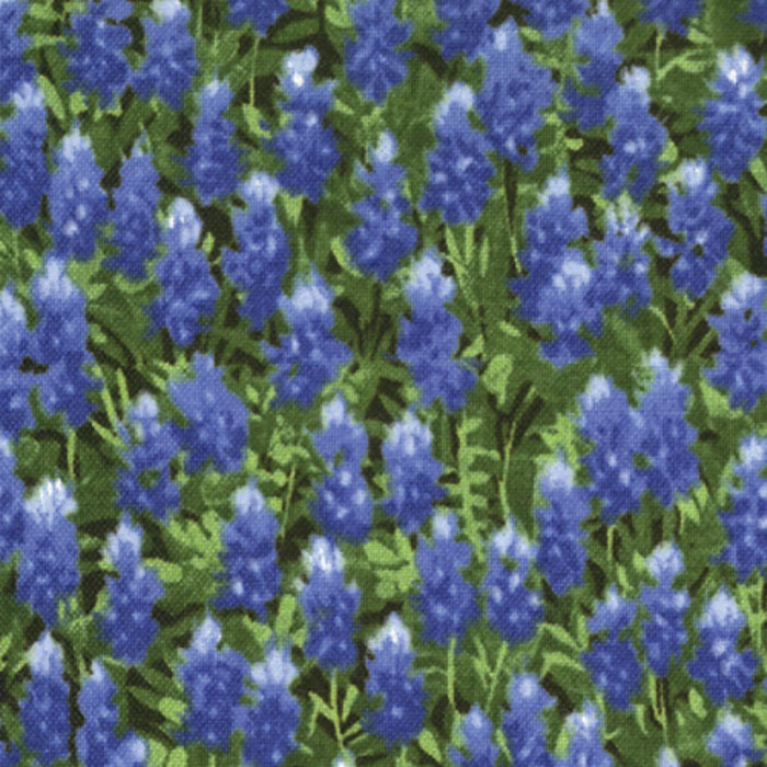 Wildflowers Basics Bluebonnets