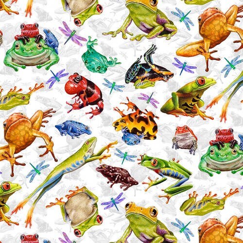 Frog and Dragonfly All Over - Colorful Frogs on White - Rainforest Frogs - Fabric By The Yard - 100% Cotton - Studio E Fabrics - 5564-9