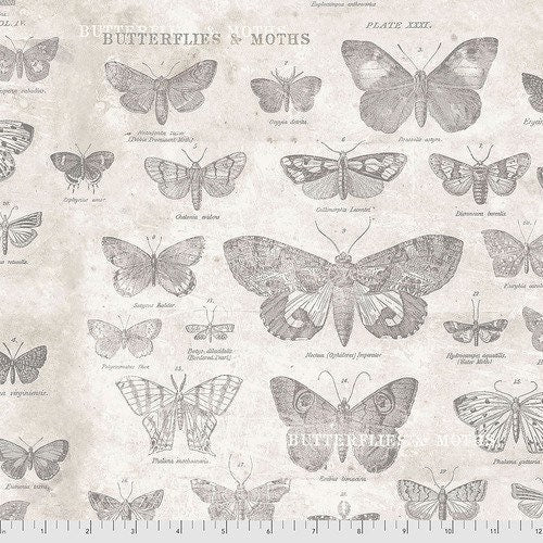 Butterflies - Monochrome by Tim Holtz - Fabric By The Yard - 100% Cotton - Free Spirit Fabrics - PWTH004.PARCHMENT
