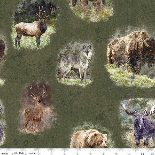 Nature’s Window Main Forest - Great Northwest Animals - 100% Cotton - Riley Blake Designs - Fabric By The Yard - C11860-FOREST