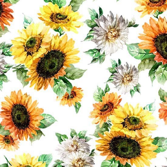 Blooming Sunflowers on White - 100% Cotton - Sunflower Festival 