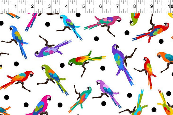 Multicolor Parrots - Colorful by Jason Yenter - In The Beginning Fabrics 