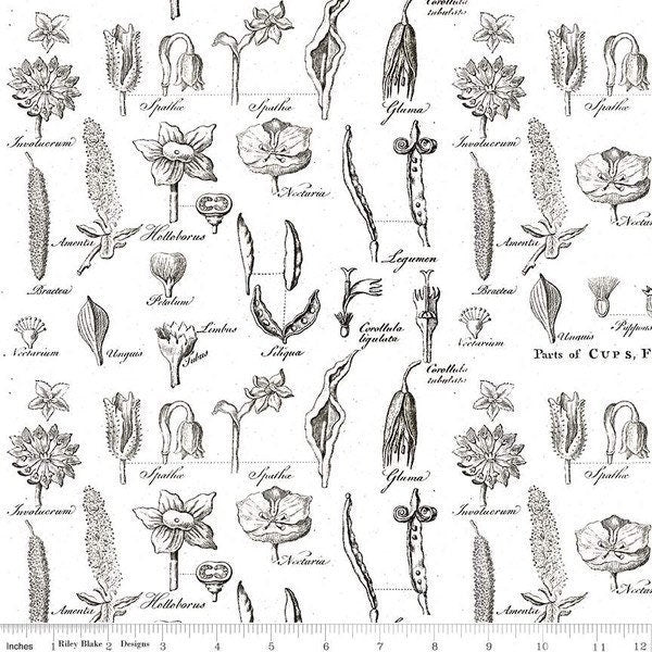 Flower Study White- Art Journal by J Wecker Frisch - 100% Cotton - Riley Blake Designs - C13042-WHITE
