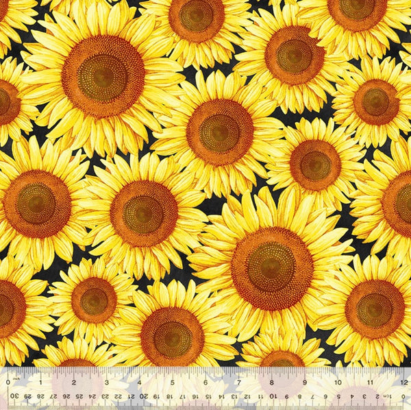 Sunflowers on Black - Brighter Than the Sun - Sunshine Daydream by Robin Roderick for Windham Fabrics - 100% Cotton - 53574-1