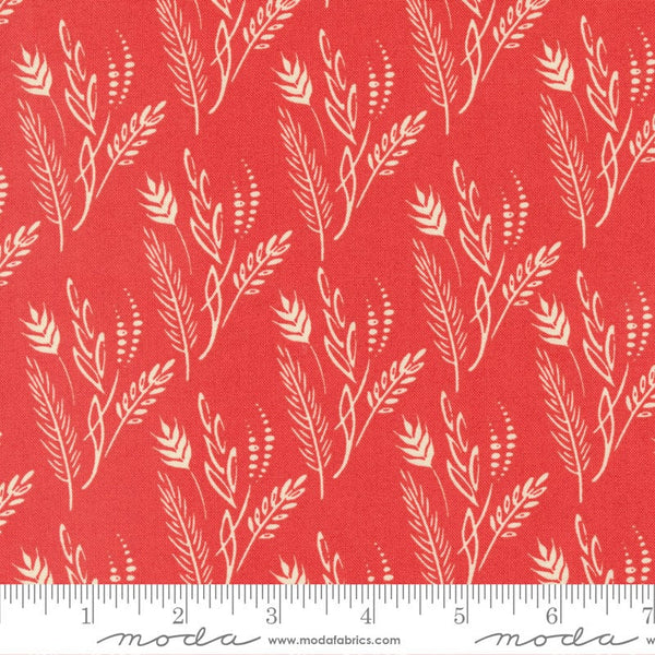 Grassland Blenders in Poppy Field - Sold by the Half Yard - Dawn on the Prairie - Fancy That Design House for Moda - 45574 24