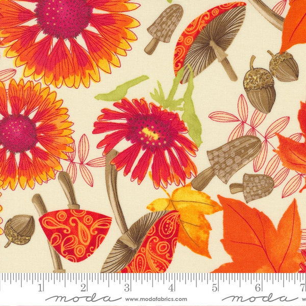Indian Blanket Flowers in Cream - Sold by the Half Yard - Forest Frolic - Robin Pickens for Moda - 48740 12