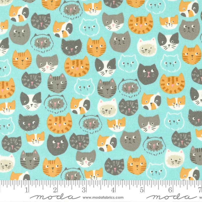 Cats Faces Aqua - Sold by the Half Yard - Here Kitty Kitty by Stacy Iest Hsu - 20830 18
