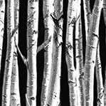 Birch Forest Flannel Black - Fletcher by Whistler Studios - Sold by the Half Yard - 2-ply Flannel - Windham Fabrics - 53695F-2