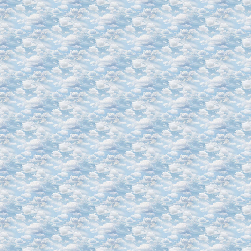 Clouds Quilt Fabric - Sold by the Half Yard - Naturescapes - Northcott Fabric - 25490-42