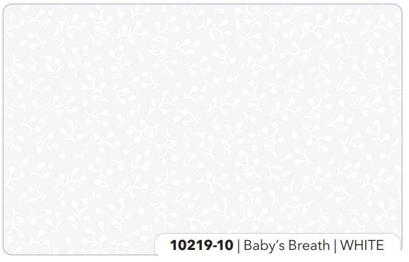 Baby's Breath White on White - Sold by the Half Yard - Patrick Lose Studios - Northcott Fabrics - 10219-10