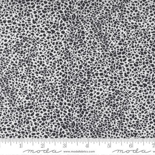 Create Doodles Ink (black and white) - Sold by the Half Yard - Alli K Design - Moda Fabrics - 11526 15