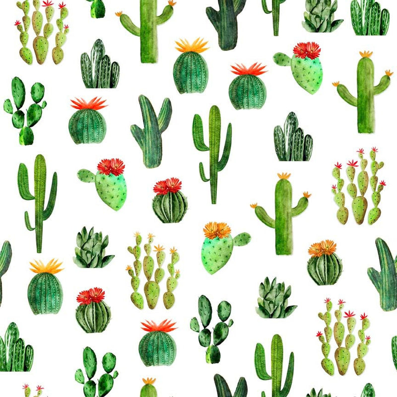 Cactus White - Priced by the Half Yard - Cowboy Up by Morris Creative Group for QT Fabrics - 29848