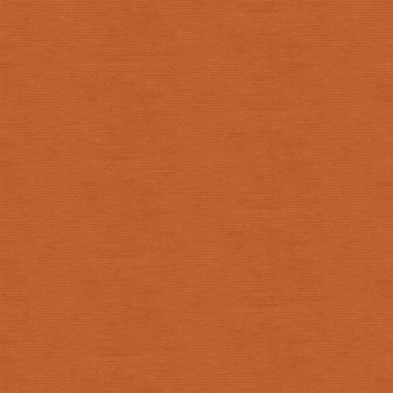 Texture Rust - Priced by the Half Yard - Southwest Vista - Deborah Edwards for Northcott Fabrics - 25636 34