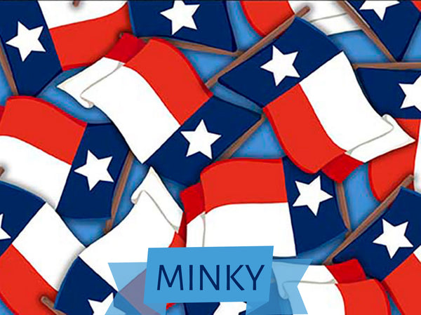 Minky Texas State Flag PREORDER - All Texas Shop Hop - QT Fabrics - Ship Date March 2024 - 2600 30092 RBMINK