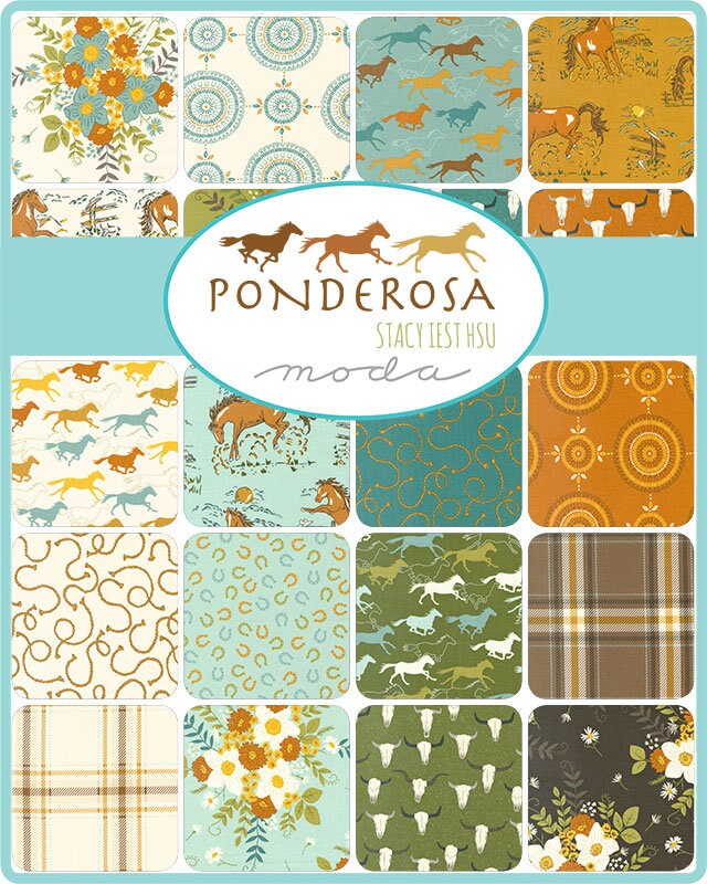 Rope 'Em Turquoise - Priced by the Half Yard - Ponderosa - Stacy Iest Hsu for Moda - 20864 19