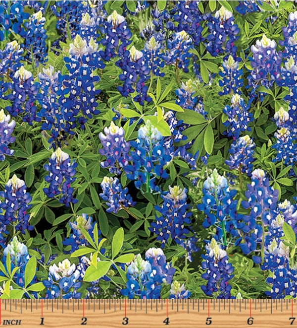 Bluebonnet Flowers - Priced by the Half Yard - Flowers of Friendship - Kanvas Studio - 14512-55