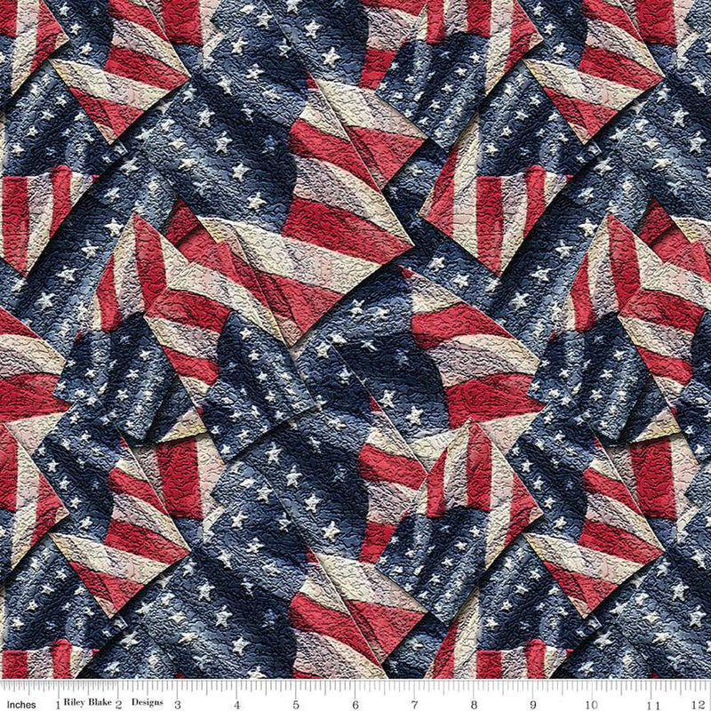 Coming Home Flags Multi - Priced by the Half Yard - Vicki Gifford for Riley Blake Designs - CD14424-MULTI