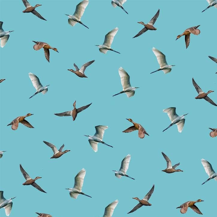 Birds Above Our Lake - Priced by the 1/2 Yard - Welcome to Our Lake - Michael Miller Fabrics - DCX11481-SKY